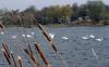 Moldova and Ukraine to take part in EU Mission to ‘Restore our Ocean and Water’