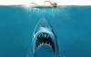 Surfer Escapes Injury After Suspected Shark Bite at California Beach