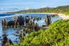 Explore the Pacific Paradise with Nauru Airlines’ Island Hopper Service!