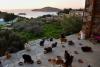 Cyprus may have the world’s highest stray-cat ratio, study finds