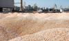 Black Sea grain trade buckles under maritime war