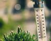 Brack: The heat is on in South Carolina, nation