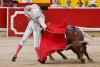 Bullfighting beyond borders: It’s not just Spain that fights with bulls, but not every country kills them
