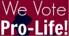Virginia Must Stop Amendment for Unlimited Abortions