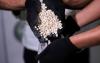 Iraq-Kuwait security cooperation seizes of 700,000 Captagon pills