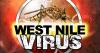 West Nile virus detected in Delaware for first time this year