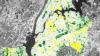 Tree-focused tech aims to bring more shade to vulnerable New Yorkers