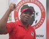 EFF supports Zimbabwe's proposed constitutional amendments