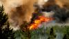 Ozone worsens other deadly health effects of globally generated wildfires
