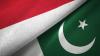 Pakistan, Indonesia Seal Major Deals Across Trade, Health, IT, and Education