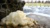 Swimming in Michigan's waters this summer? Avoid the foam, state warns