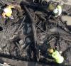 Archaeological Find Supports Ancient Greek Explorer’s Account of Britons