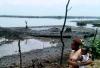 Sale of Nigerian oil assets violate international law, frustrate environmental cleanup – UN experts