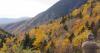 Peak leaf peeping in Maine may come early this year