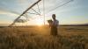 Kentucky Farmers Turned Down $26.5 Million for Their Land. At 63, a Similar Sale Won’t Count as Work to Social Security.