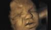 South Carolina Must Take Action to Stop Mail-Order Abortions