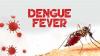 Early Evidence of Person-to-Person Dengue Transmission Identified