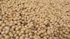China returns to U.S. soybean market