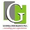 Guinea Insurance to raise N15bn additional capital