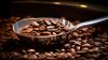 Starbucks (SBUX) Settles Florida DEI Case for $1 Million. Will Nationwide Terms Matter?