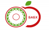 BFSA Detains Over Two Tonnes of Yogurt from North Macedonia at Gyueshevo Border Crossing