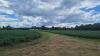 Richland County receives $50K Ohio farmland planning grant