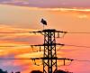 Bulgaria’s Net Electricity Exports Rise 62% Since Start of Year, Electricity Trading Association Says
