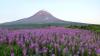Mount Augustine geothermal site included in MoU between Alaska and South Korean firm