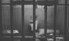 North Korean man arrested for running job placement scam