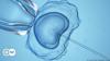 Reproductive medicine laws in Germany 'shockingly unjust'