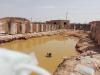 ‘Toxic gold mining waste kills camels in Sudan’s Red Sea state’