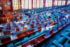 Reps probe recent xenophobic attacks on Nigerians in South Africa