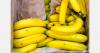 Cameroon's banana exports rise 21.5% despite exporter losses
