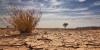 Climate change linked to rising childhood stunting across Africa —Study