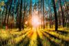 FAITH LIFT: A Great Awakening