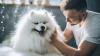 Petco Health and Wellness Company, Inc. (NASDAQ:WOOF) Q1 2025 Earnings Call Transcript