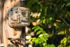 Romanian authorities launch new appeal to limit electricity consumption amid drought