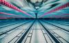 Bermuda Swimmers Set For Junior Pan Pacifics