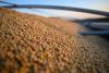 Ag economist: China’s soybean buying encouraging, not unusual