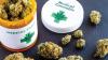 Medicinal cannabis push begins