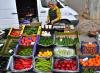 Agricultural Producer Prices in Bulgaria Rise 1% on Annual Basis in Q2 of 2026