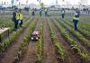 Agriculture This Week: A.I. and robots create questions for ag