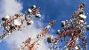 NCC audits 75m compensation claims as telcos race to fix Nigeria’s network gaps