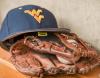 WVU wraps up Arizona road trip with 7-4 victory against the Wildcats