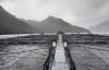 Chile’s Supreme Court orders Nova Austral to come up with new reorganization proposal