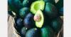 Australia grows avocado exports with year-round supply