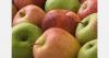 Moldova exports 9,700 tons of apples in May 2026