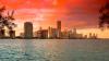 7 Mid-Sized Cybersecurity Providers in Florida: Services, Reviews, Pros and Cons