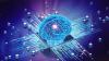The AI app is smart. The question is whether your business is ready for it