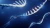 Gene Silencing-Biotech ADARx Makes Some Noise With $535M Stock Market Debut